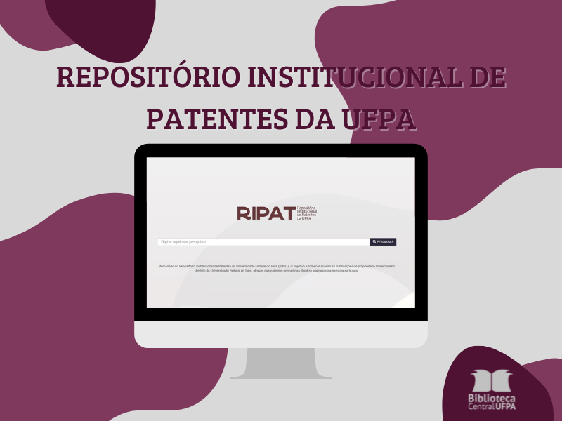 RIPAT: produto da dissertação de servidora